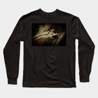 Scary Gargoyle Long Sleeve T-Shirt